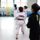 훌륭한 태권도 이미지