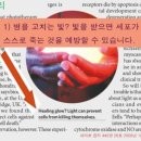 케이텍엠 이미지