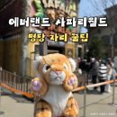 에버랜드 사파리월드 후기｜명당자리 대기시간 리뉴얼 총정리