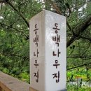 제53화 - 미국에서 온 한국인의 결실, 천리포 수목원 여행 이미지