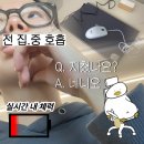 도와세움평생교육센터