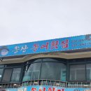 [맛집 기록] 싱싱함 가득한 송어회 한판! 송산송어횟집 후기