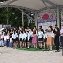 양강섬예술축제 이미지