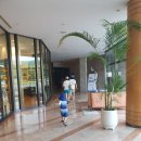 힐튼 경주 실외수영장 | 아이와 함께한 경주 힐튼 호텔 가족 여행 후기! 수영장, 유아 물놀이터, 조식까지