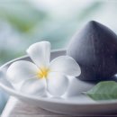 (주)더바디 이미지