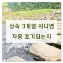 아파트 ㆍ 주택 상속등기 3개월 지나면 자동 포기되는지 이미지