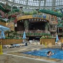 아쿠아가든팜카페 | 인스파이어 리조트 총정리! 스플래시베이부터 레스토랑 푸드코까지 인스파이어에서의 1박