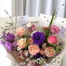 더피우리 이미지