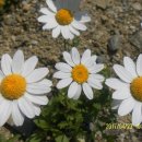 남지초등학교 이미지