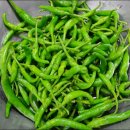 여리농장 이미지