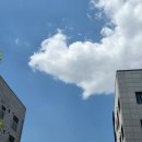 김더하기밥