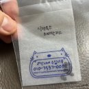 시란투스 스피랄리스 파종 예정 이미지