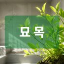 카페토끼는다정해 | 12개의 지지 중 4번째, 묘목(卯)