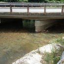 느티나무골펜션 이미지