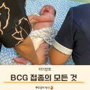 운도장식 | BCG 경피용, 피내용 백신 정의, 차이 및 경피용 접종후기