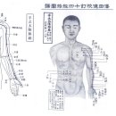 고서경락도 1 수태음폐경락도 좌우각11혈 이미지