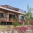 말라이카 이미지