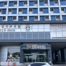 평택라마다앙코르호텔(더포힐스호텔) | 경기도 평택 가성비 호텔 더포힐스 라마다 앙코르 평택 객실 및 조식