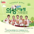 의성김밥 이미지