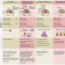 Re: Turning back time with emerging rejuvenation strategies 이미지