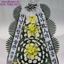 야탑동 351 (분당차병원) 이미지