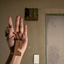 돌담하우스 | 제주 | 현지 감성 가득한 돌담뷰 구좌읍 숙소, 두베하우스