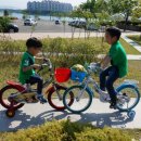 네발로갈때까지 이미지