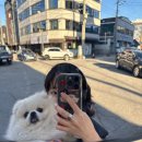 네스텍 | 이번달 1억 9706만원 지출? / 비츠로네스텍 바닥 가격에 전량 매도 후기,,,주식할땐 쫄면 안되는데...ㅠ