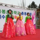 응봉초등학교 이미지