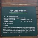 서당개 | 담양 죽녹원 대나무숲 후문매표소 주차장 서당개 삽살개