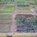 비봉농장 이미지