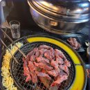 신마포갈매기 이미지