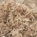 정순목장 이미지