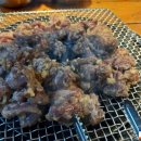 조선갈매기