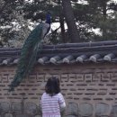 봄나들이 미술관투어 이미지