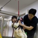 고고다이노 | 의정부 키즈카페 고고다이노 솔직 후기! 우리 아이 최애 장소 등극