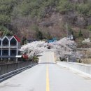 죽곡 태안교 이미지