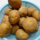 야식의정석