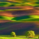 자연오리 이미지