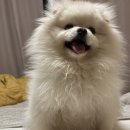 뚱땅뚱땅 이미지