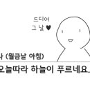 버킷비스킷