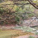 맑은개울 캠핑장 이미지