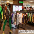 노원BCBG