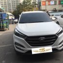 덱스크루강릉점