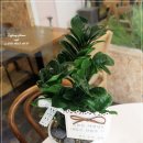 용인시 승진 영전 축하화분 추천｜세비앙 보석금전수 V60 개업·개원·전시회 선물 이미지