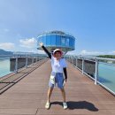 마량 미항 | [일상 포토덤프 챌린지] 한국의 나폴리(?), 강진군 마량미항축제를 다녀오다!