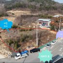 선산대로-60 이미지