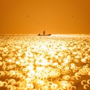 일산해수욕장 이미지