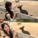 시드니 블루마운틴 줌줌투어 후기🚗 1탄 - 페더데일 동물원 (코알라보기🐨, 쿼카랑 셀카찍기, 🦘캥거루...