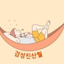 주문진 시장 회 5만원 어치 이미지